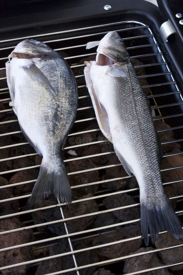Sea bream and bass stock photo. Image of cooking, scale 15703894