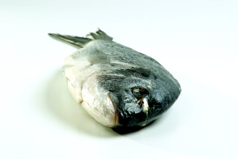 Sea bream from greece stock image. Image of bream, cuisine 12737557