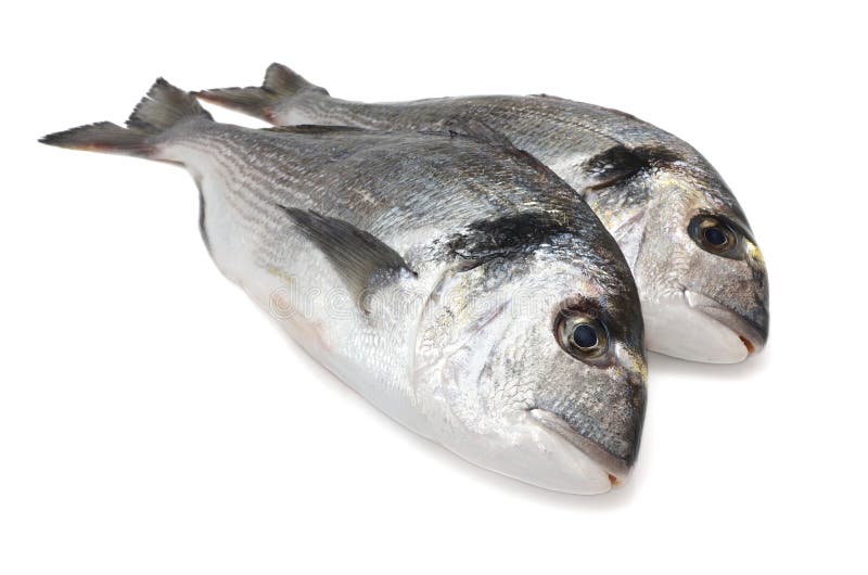 Sea bream