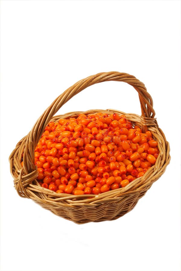 Sea-buckthorn berries