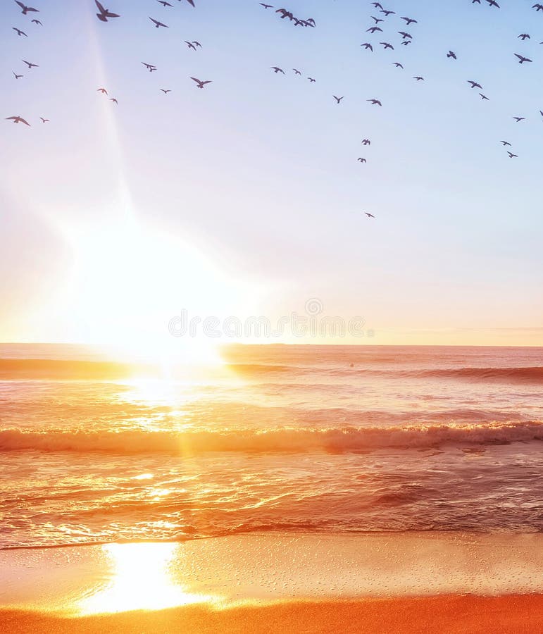 The sea at dawn. The sun with warm light illuminating the beach water and birds flying in the sky.