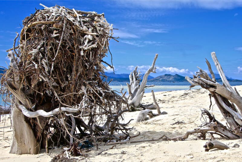 Huge Eagle`s Nest on a heavenly beach royalty free stock photos Huge Eagle`s Nest on a heavenly beach royalty free stock photos
