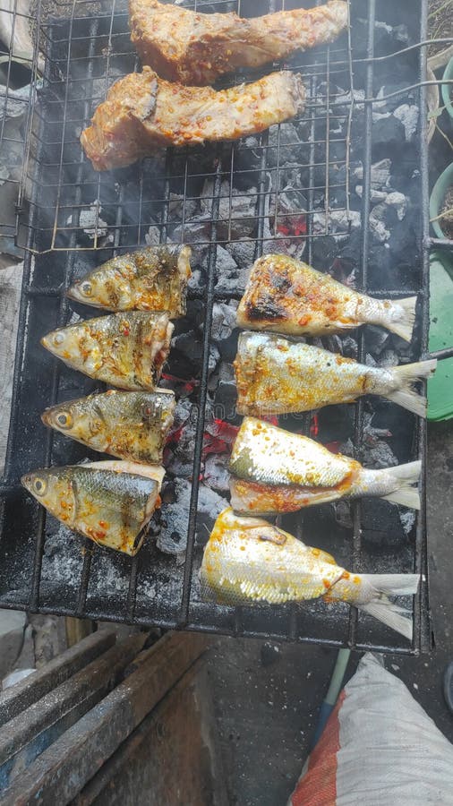 Sea of fish barbeque stock photo. Image of seafood, meat 263279038