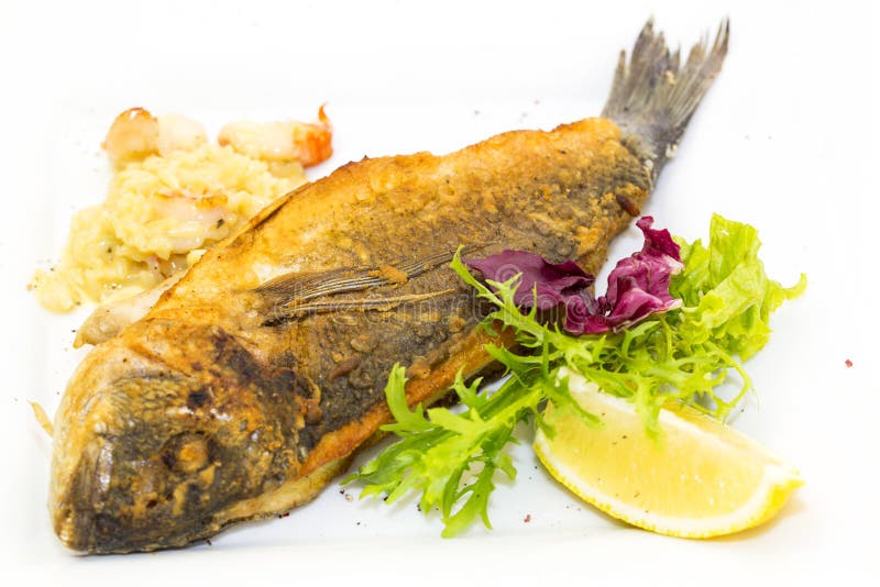 Sea fish cooked stock photo. Image of lamb, charbroil 60222234