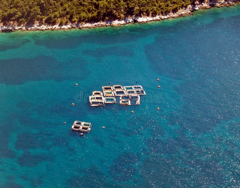 Sea fish farms, aerial view