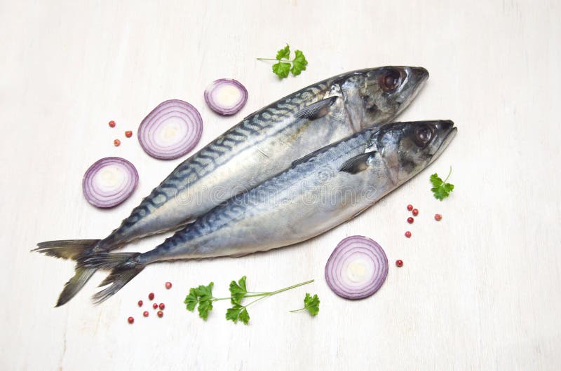 raw mackerel for dogs