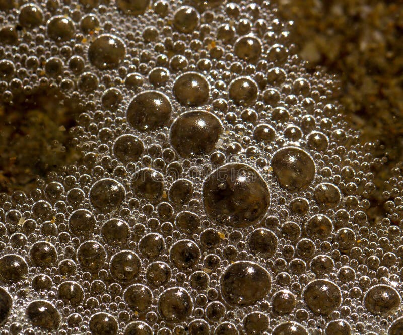 Sea Foam Bubbles in Close Up Stock Photo Image of foam, bubbles 55033370