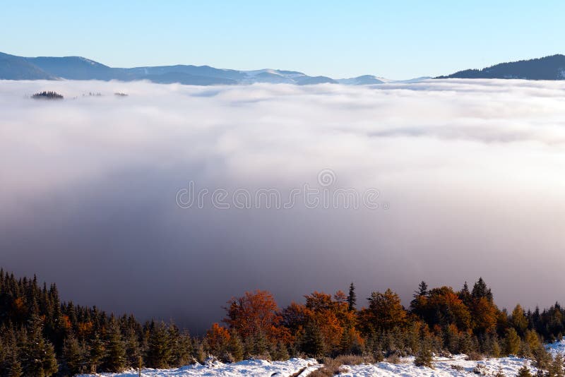 The Sea Of Fog With Forests As Foreground Stock Photo Image Of Orange