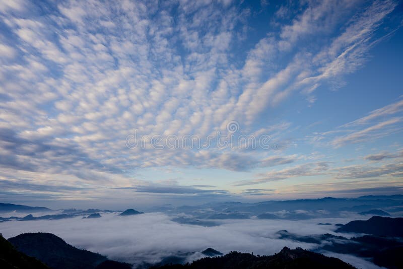 The sea of fog with forests and mountains valley ,beautiful in nature landscape ,Doi Thule ,Tak province ,Thailand royalty free stock photo The sea of fog with forests and mountains valley ,beautiful in nature landscape ,Doi Thule ,Tak province ,Thailand royalty free stock photo