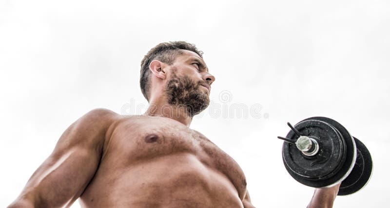 Sea fuerte Equipo de deporte Seis paquetes perfecto dieta de la salud de la aptitud deportista del hombre con el torso fuerte del fotografía de archivo libre de regalías Sea fuerte Equipo de deporte Seis paquetes perfecto dieta de la salud de la aptitud deportista del hombre con el torso fuerte del fotografía de archivo libre de regalías