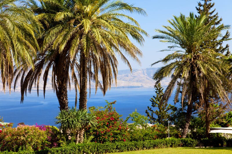 Sea of galilee, landscape