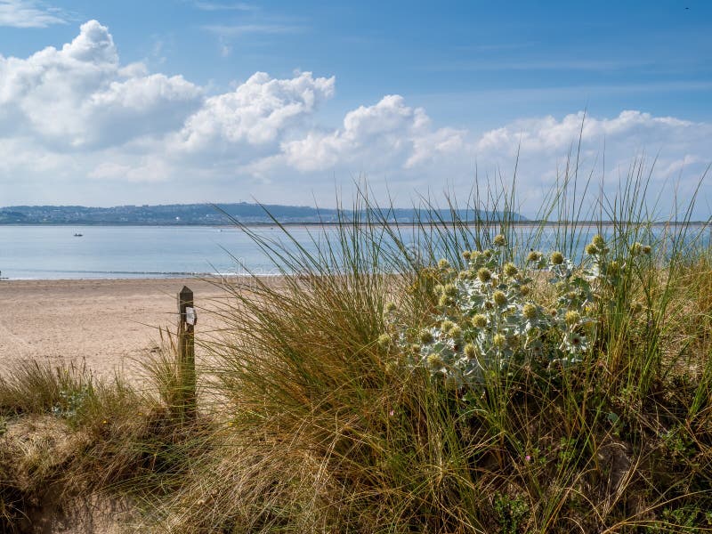 Lady in the dunes on a North Devon beach