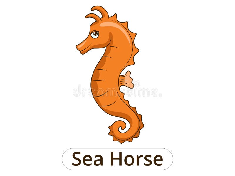 Sea horse underwater animal cartoon illustration