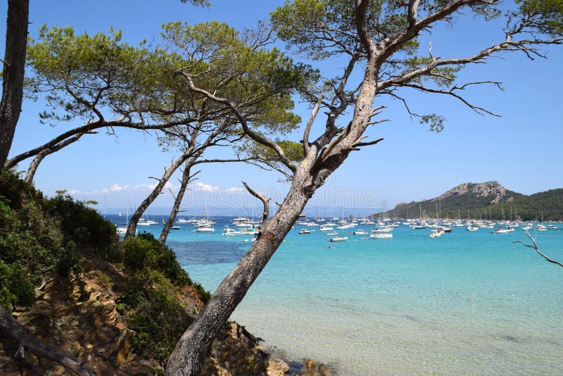 Porquerolles Island In France Stock Photo - Image of coast, landmark ...