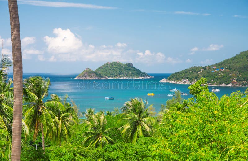 Sea and jungle. beautiful ko tao island. Thailand