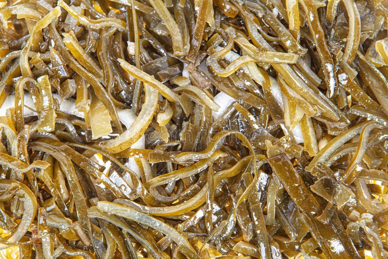 Sea Kale Salad stock image. Image of appetizing, dietary 174896555