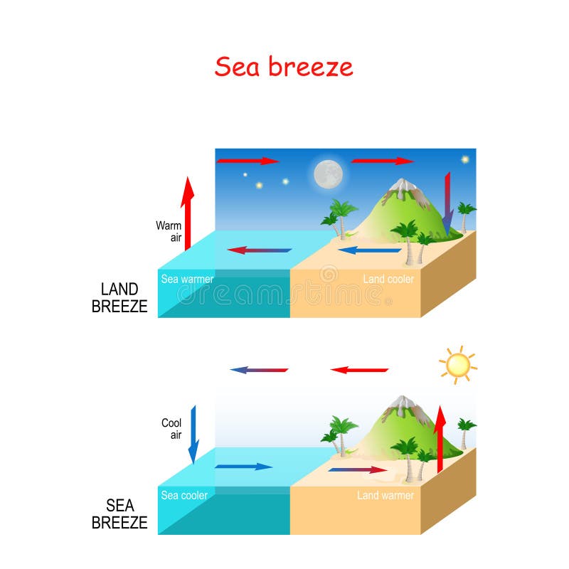 NDBC  Science Education  What are sea breezes and why do they occur   Answer