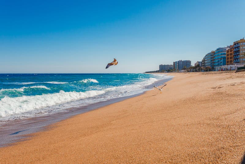 Sea landscape in Blanes, Catalonia, Spain near of Barcelona. Scenic town with nice sand beach and clear blue water in beautiful royalty free stock images Sea landscape in Blanes, Catalonia, Spain near of Barcelona. Scenic town with nice sand beach and clear blue water in beautiful royalty free stock images