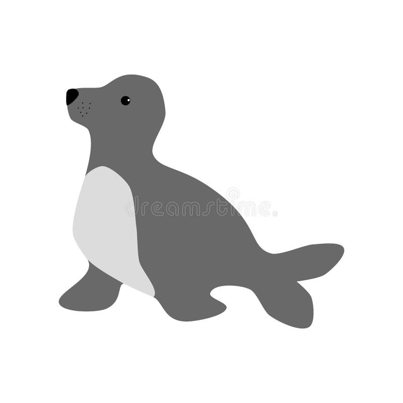 Sea lion illustration stock vector. Illustration of animal - 95435093