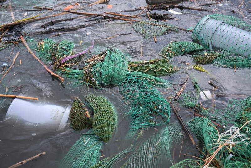 403 Plastic Pollution Ocean Fishing Net Stock Photos Free & Royalty