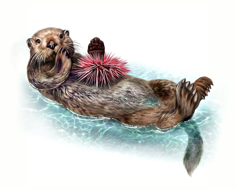Otter Play Stock Illustrations – 127 Otter Play Stock Illustrations ...