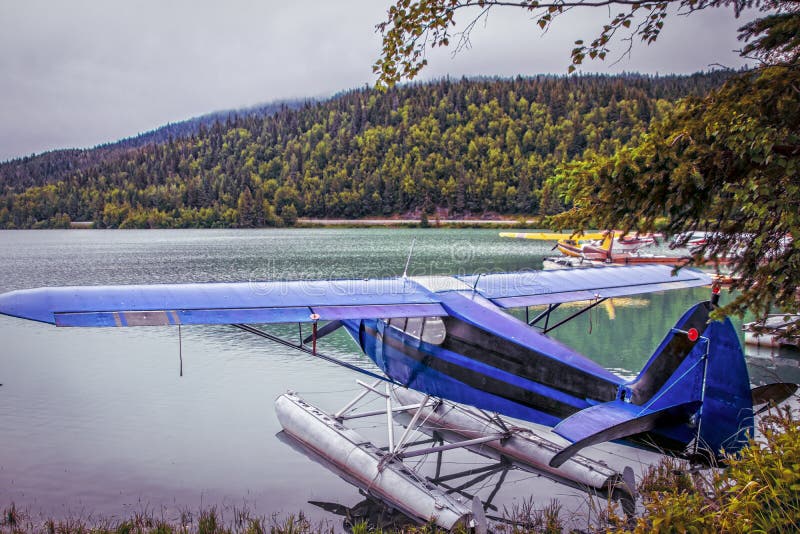 Sea planes floating at edge of lake in Alaska summer with mountains and mist behind