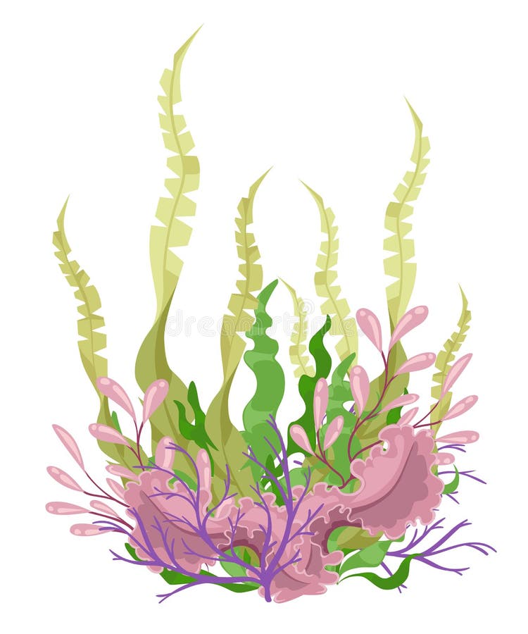 Sea plants and aquatic marine algae Seaweed set illustration. Yellow and brown, red and green aquarium