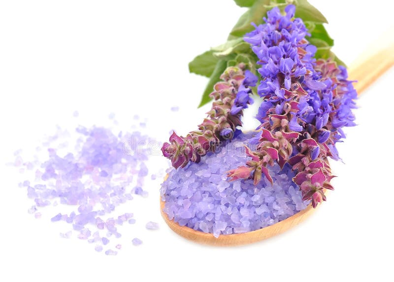 Sea salt with lavender stock image. Image of comfortable 25355981