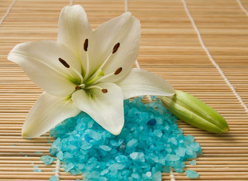 Sea salt and lily stock image. Image of nature, tropical 10540821