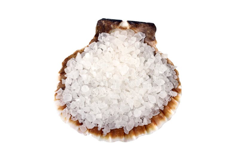 Sea salt in a shell