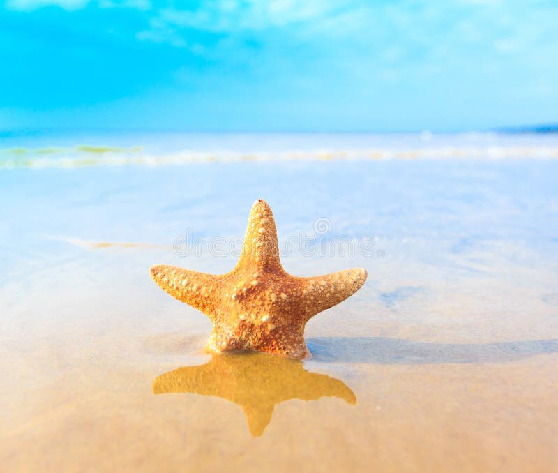 Sea Sand royalty free stock photo