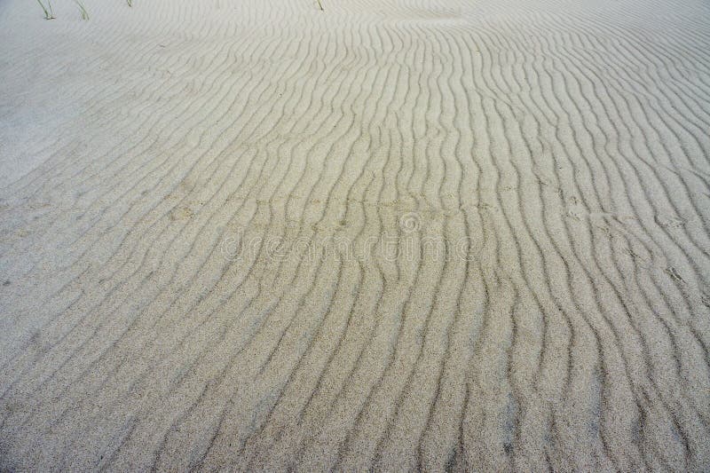 Sea Sand. Sandy Background. Sandy Texture. Natural Sea Sand and River ...