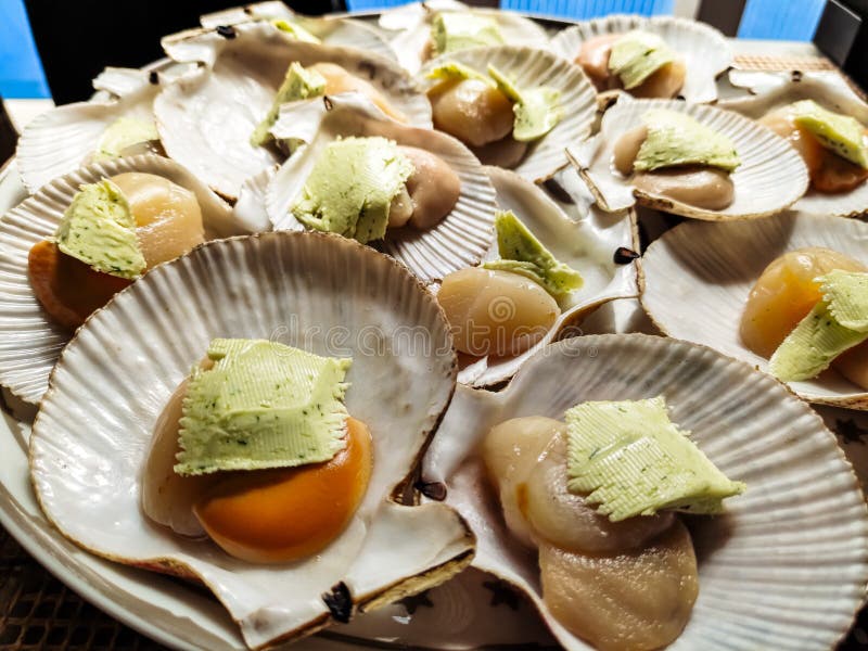 Sea Scallops in Shells are Grilled on the Grill Stock Image Image of
