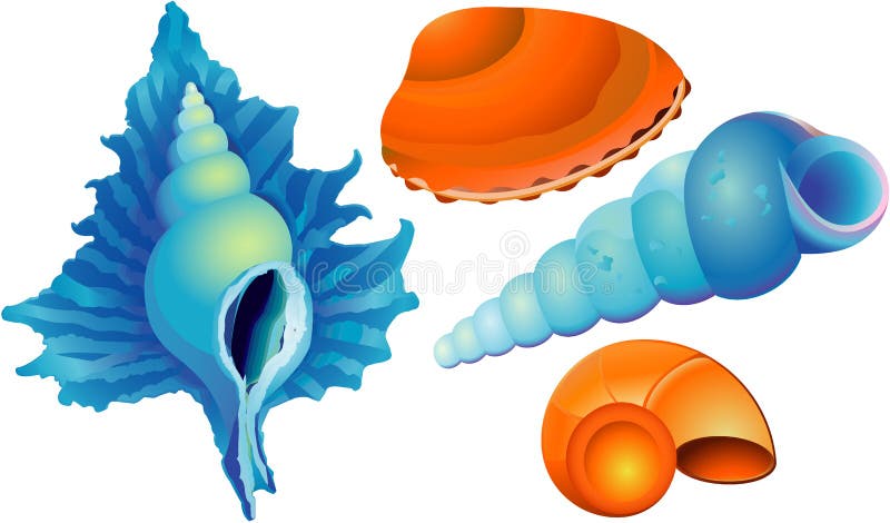 Sea shell royalty free illustration