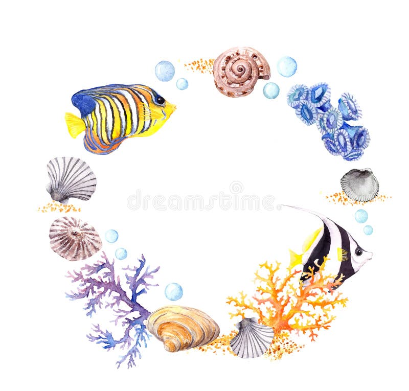 Sea shell, coral, sand. Summer beach wreath border. Watercolor