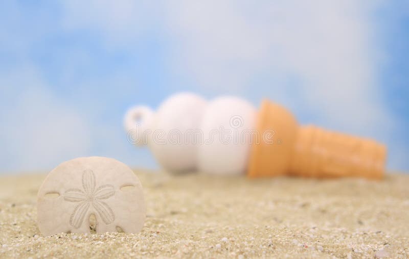 Sea Shell And Ice Cream Picture. Image 3899108