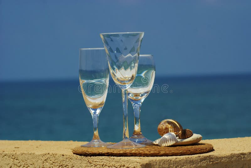 Sea shell inside of glass of wine