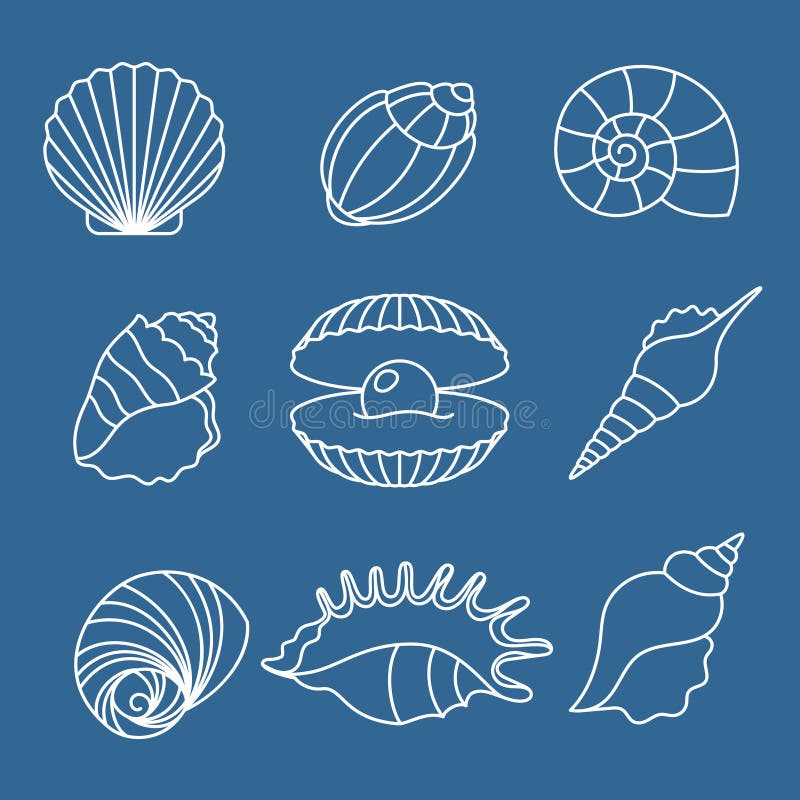 Sea shell, scallop vector sketch illustration. Seashell outline icon | Seashells  outline, Seashell drawing sketches, Shell tattoos