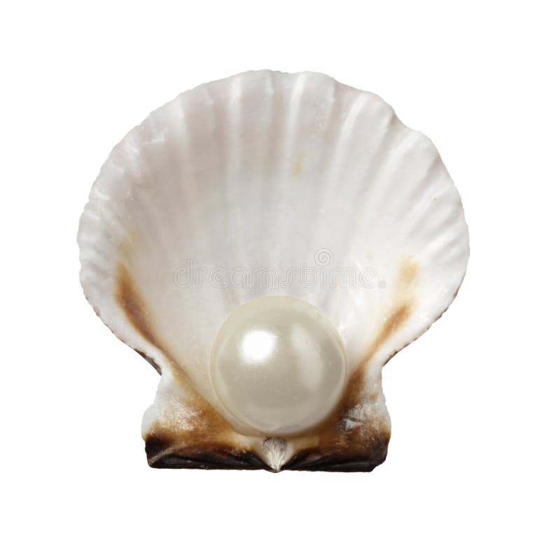 Sea shell and pearl holiday travel