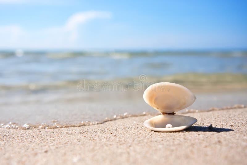 Sea shell with pearl