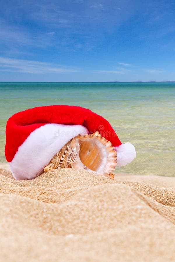 Sea shell in Red Santa s hat at the beach