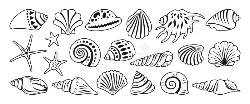 Sea shell sink doodle cartoon set ocean exotic underwater seashell aquatic mollusk marine symbol