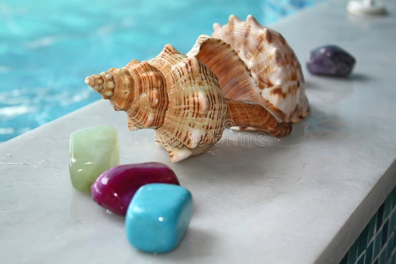 Sea shell and stones
