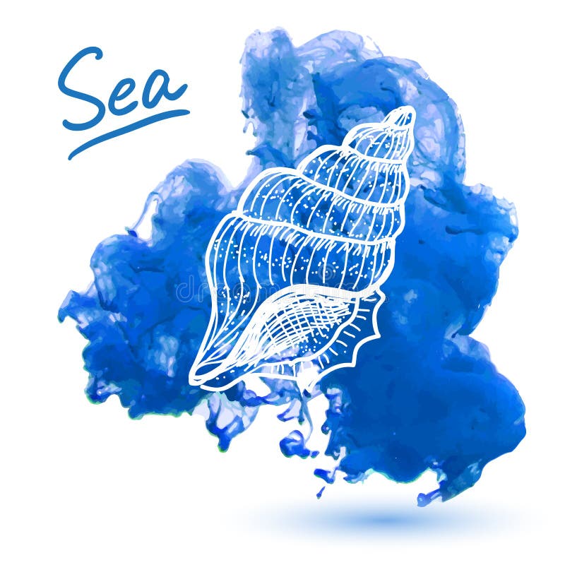 Sea shell