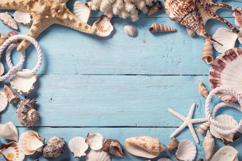 Sea shells border over blue wood background