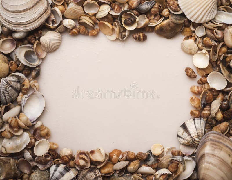 Sea shells frame background. Seashells for wallpaper. Colorful shells. Sea shells background. Marine seashells. Exotic stock image
