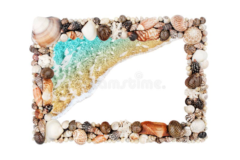 Sea shells frame white background isolated closeup seashells border, blue wave sand beach, turquoise water pattern, copy space royalty free stock photography