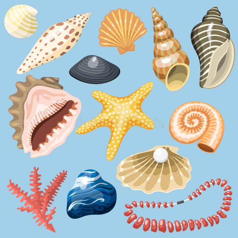 Sea Shells Marine Cartoon Clam-shell and Ocean Starfish Coralline ...