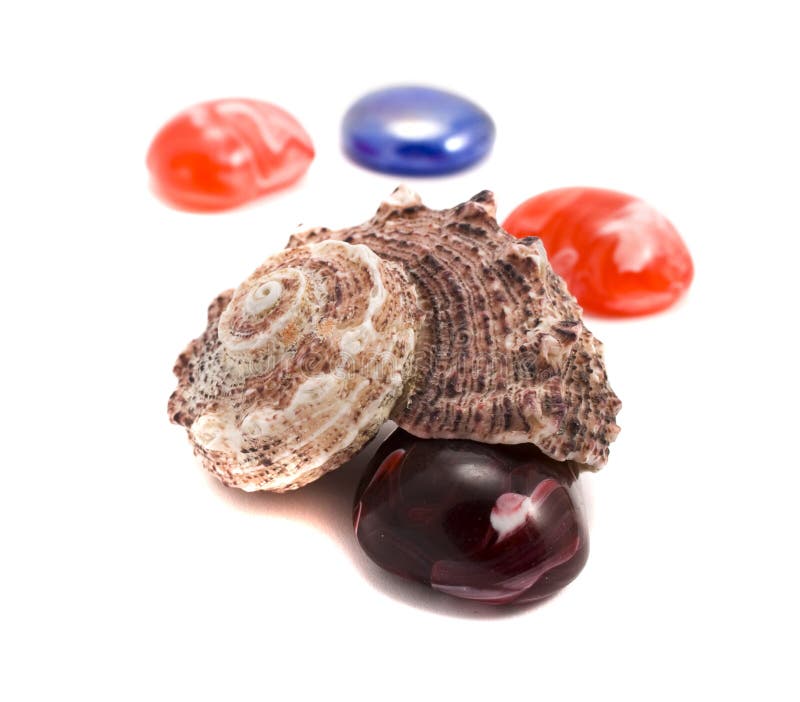 Sea shells and semiprecious stones