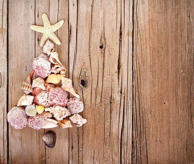 Sea shells shaped as a Christmas tree on a rustic wooden background